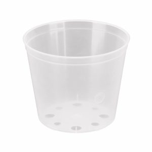 Orchidea cserép 10-12 cm