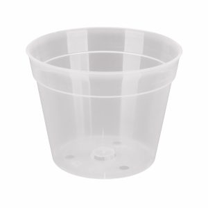 Orchidea cserép 14- cm