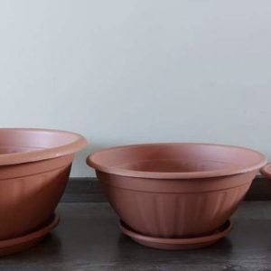 Virágkehely alj nélkül